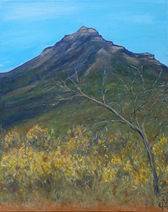 Stirling Range
