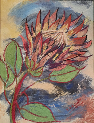 Protea - Heather Roberts