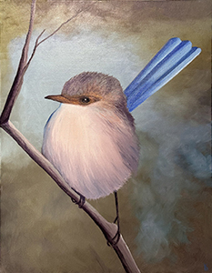 Baby Blue Wren