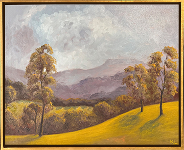 A Misty Mountain Country Morning