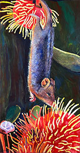 Honey Possum