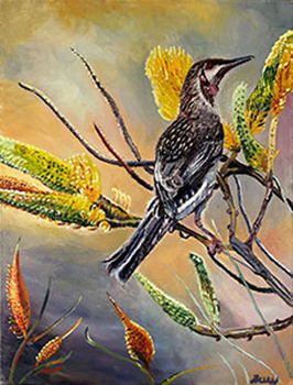 Honey Eater