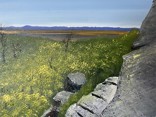 A View from Castle Rock - Andy Arnold